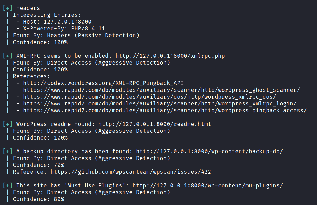 WPScan general checks