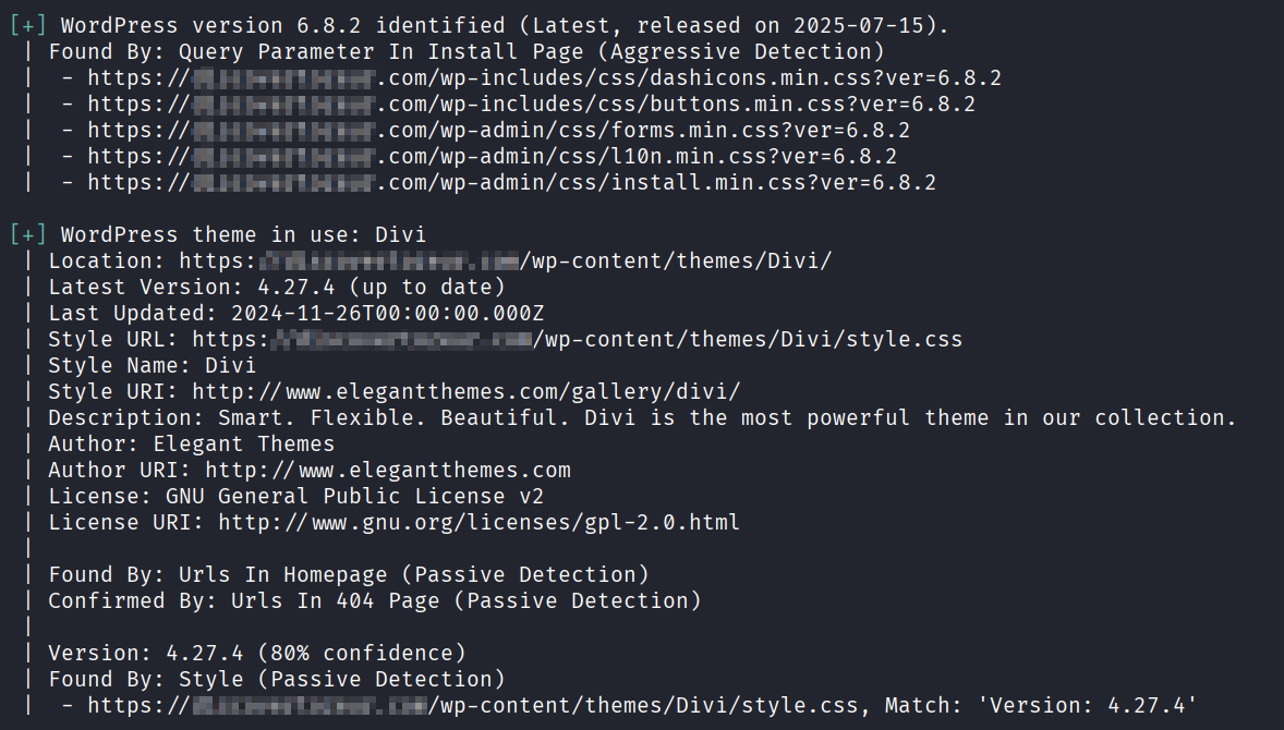 WPScan version and theme enumeration